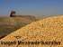 Fazenda em santa maria do tocantins - to
